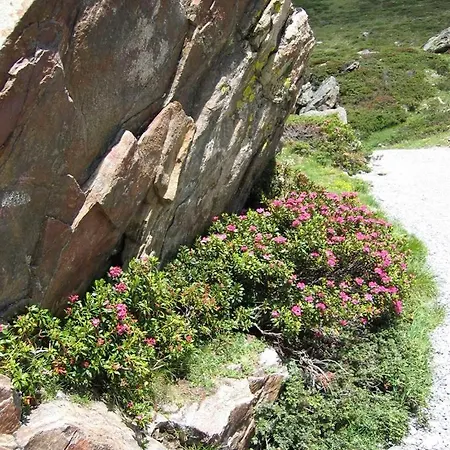 Christophorus * Sankt Gallenkirch